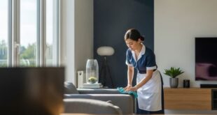 دلالات شغالات في ينبع