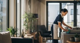 شغالات ينبع البلد