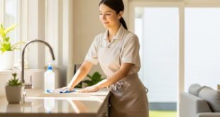 شغالات في ينبع