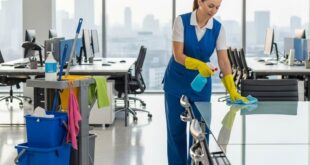 شغالات بالشهر في الشفاء